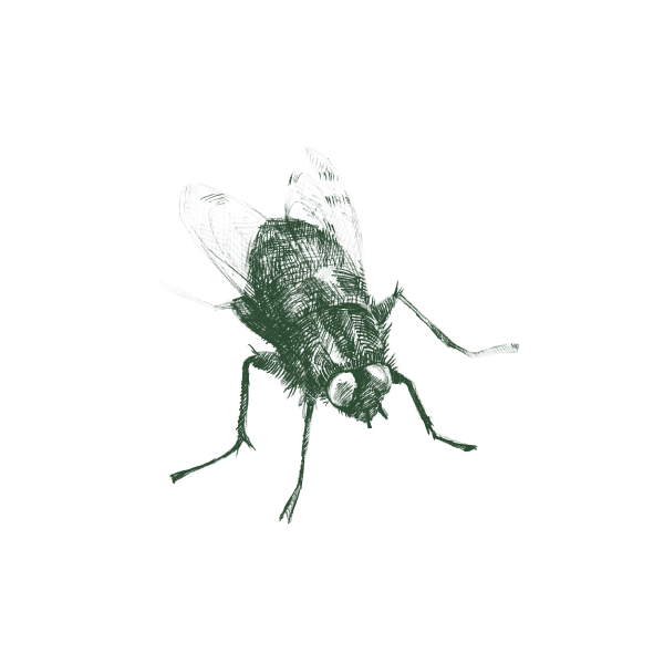 Pantry pest control service in Hyderabad