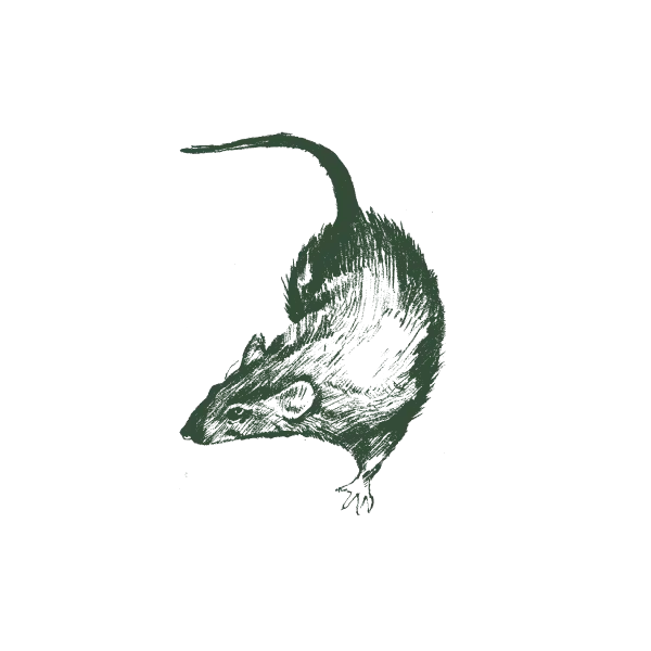 Rodent control service in Hyderabad